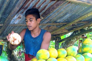 Promoting safe produce and quality in Samoa